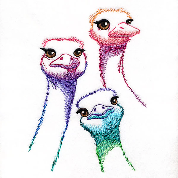 Alive with Color Ostrich Trio - Image 2