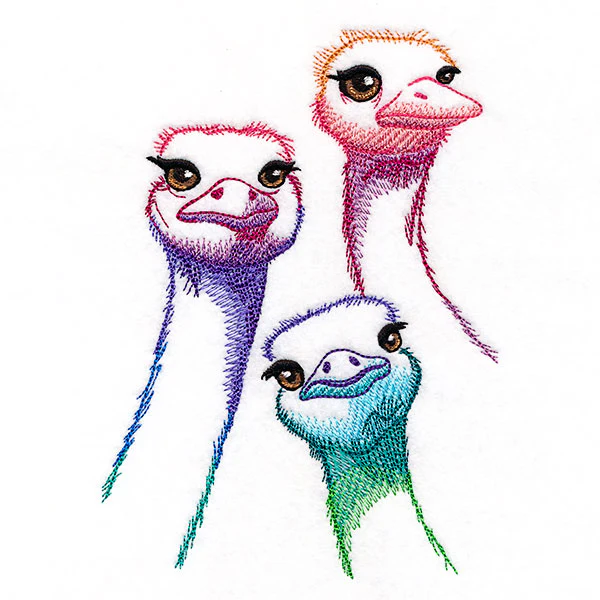 Alive with Color Ostrich Trio - Image 3