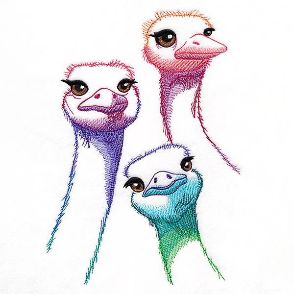 Alive with Color Ostrich Trio - Image 4