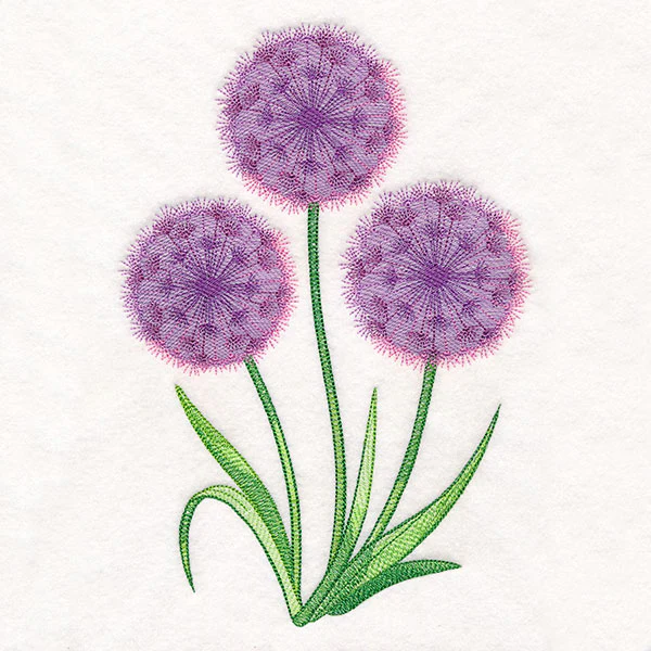 Allium Bouquet