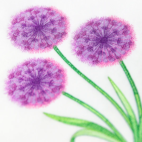 Allium Bouquet - Image 6