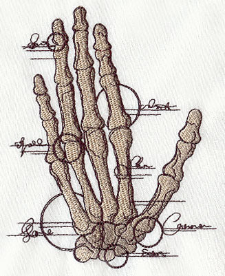 Anatomical Hand - Image 6