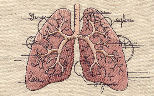 Anatomical Lungs - Image 3