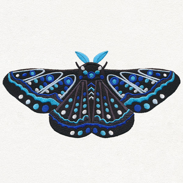 Animalia - Moth - Image 4
