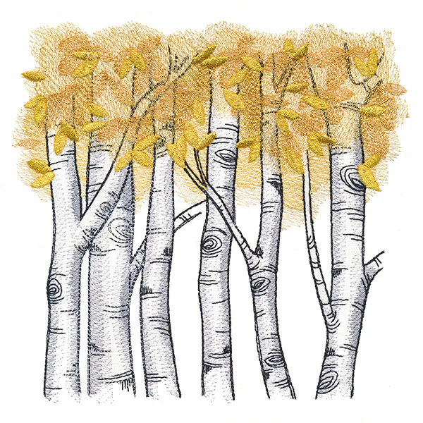 Autumn Birch Woods - Image 2