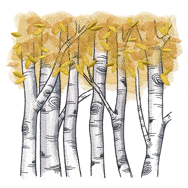 Autumn Birch Woods - Image 6