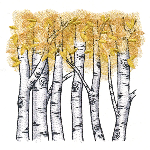 Autumn Birch Woods - Image 8