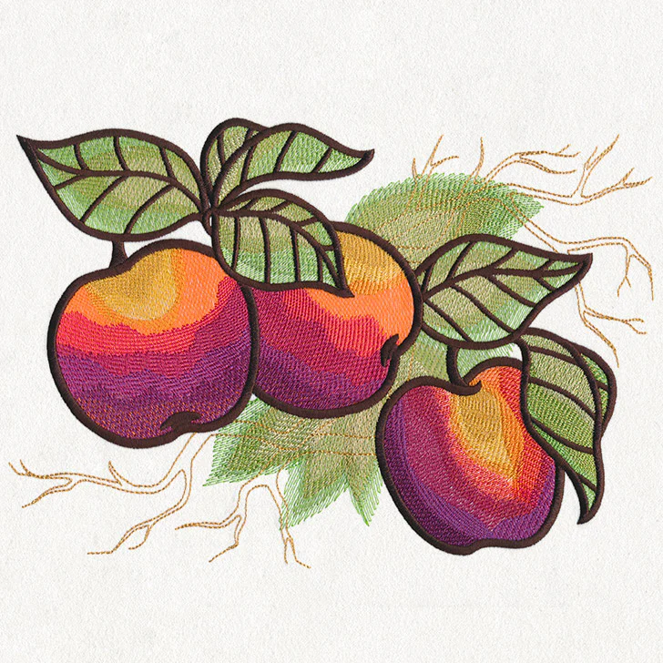 Autumn Equinox - Apples - Image 6