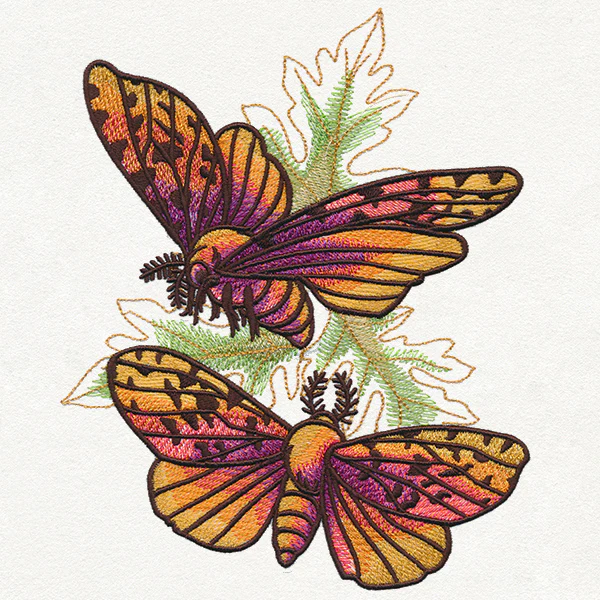 Autumn Equinox - Moths - Image 3
