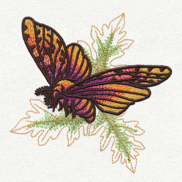 Autumn Equinox - Moths - Image 5
