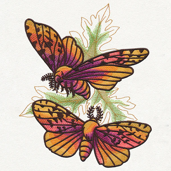 Autumn Equinox - Moths - Image 6