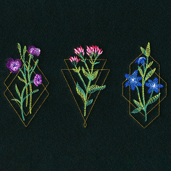 Avant-Garden Trio - Image 5