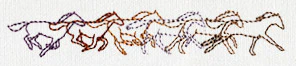 Band of Horses - Image 5