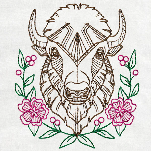 Beautiful Bison