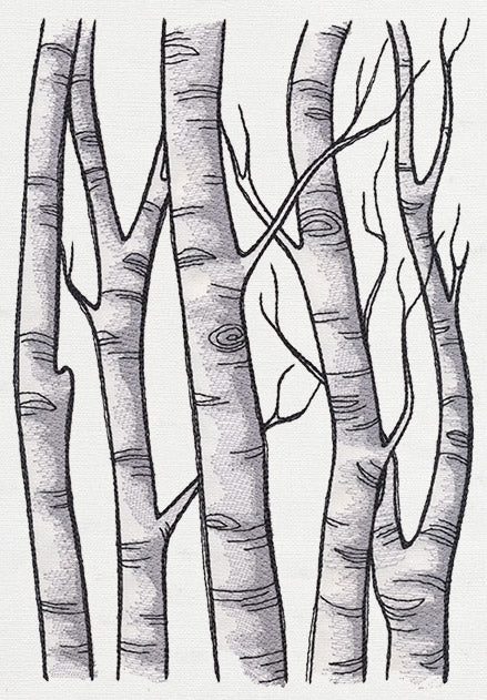Birch Tree Forest - Image 2