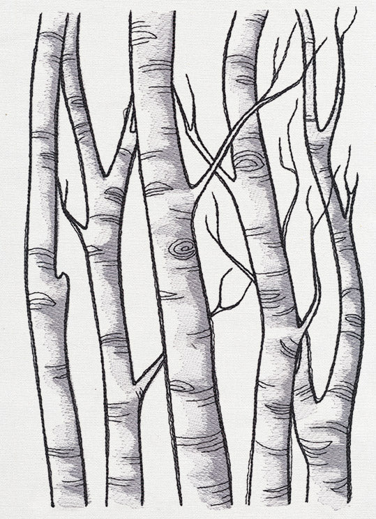 Birch Tree Forest - Image 5