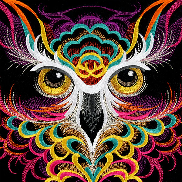 Bold Style Owl - Image 6
