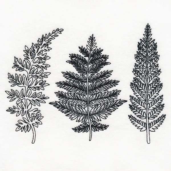 Botanical Ferns - Image 2
