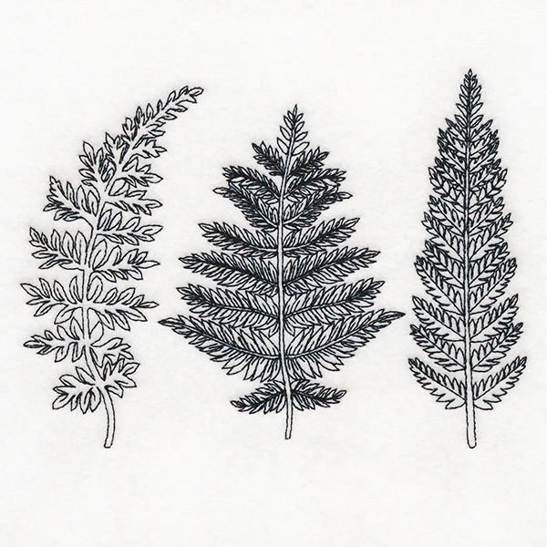 Botanical Ferns - Image 3