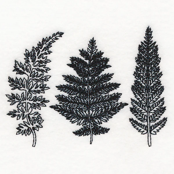 Botanical Ferns - Image 4