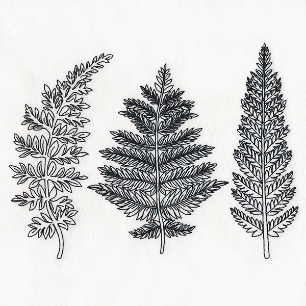 Botanical Ferns - Image 5