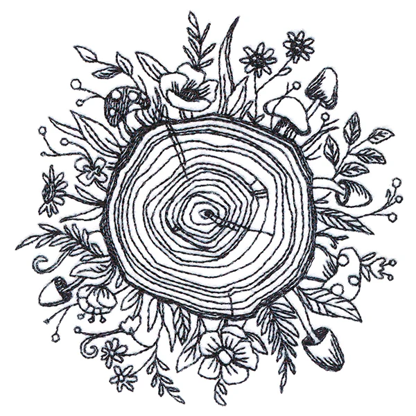 Botanical Tree Rings - Image 5