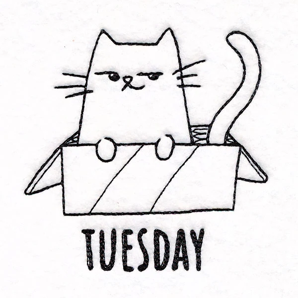 Box Claiming Cat on Tuesday - Image 2