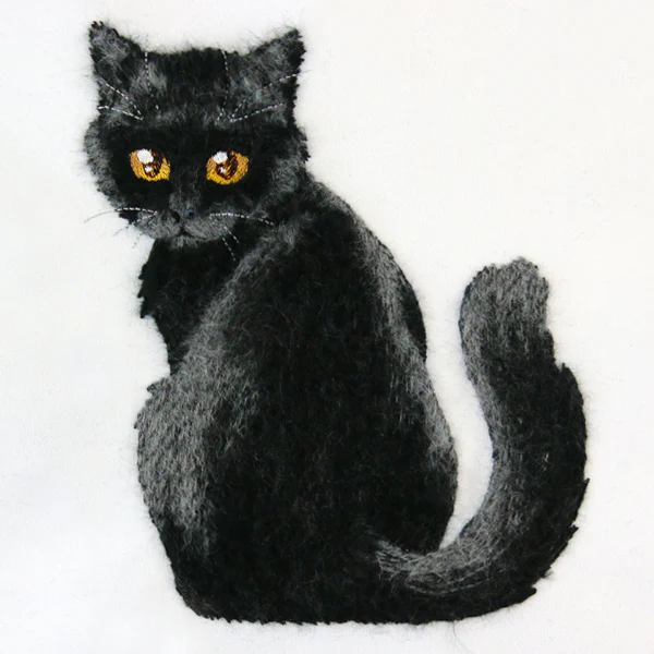 Brushed Kitten - Image 5