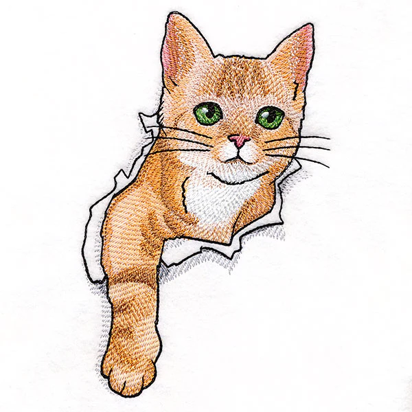 Busting Out Kitten - Image 4