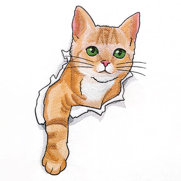 Busting Out Kitten - Image 5