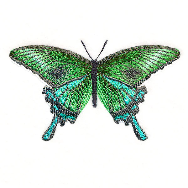 Butterfly Bliss - Japanese Swallowtail
