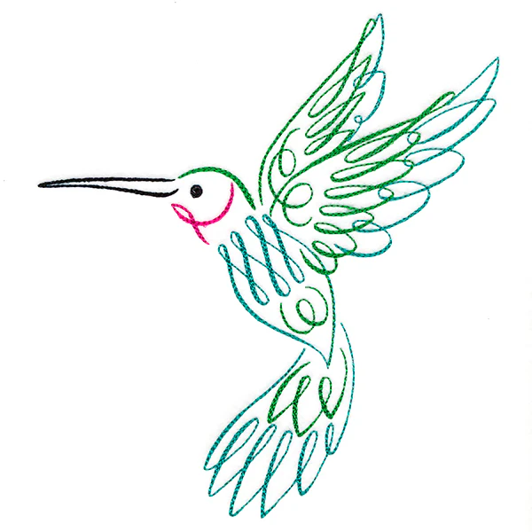 Calligraphic Hummingbird - Image 8