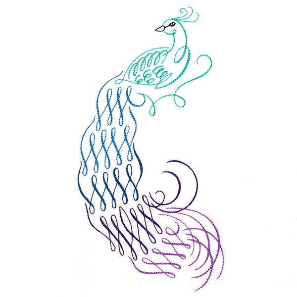Calligraphic Peacock