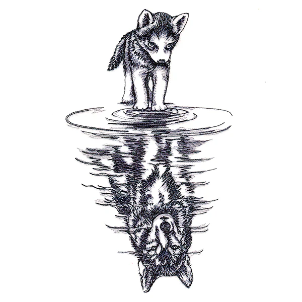 Canine Reflection - Image 3