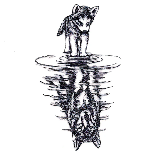 Canine Reflection - Image 5