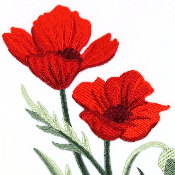 Captivating Poppies - Image 2