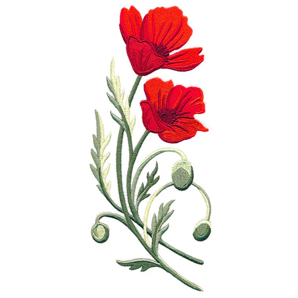 Captivating Poppies - Image 3