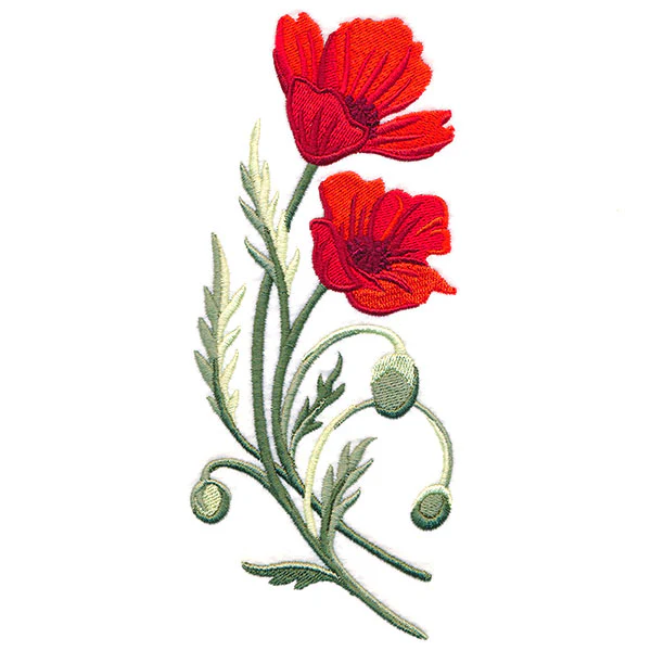 Captivating Poppies - Image 7