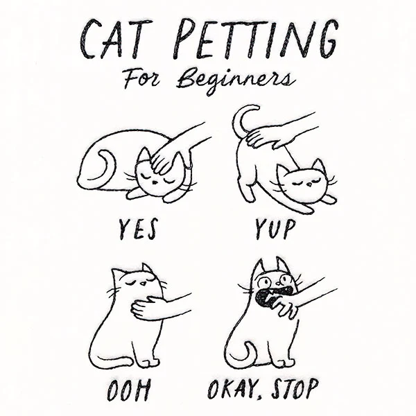 Cat Petting Guide - Image 5