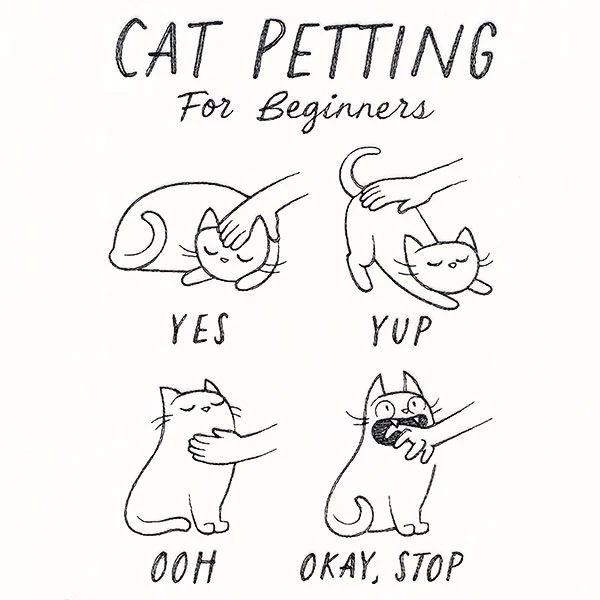 Cat Petting Guide - Image 7