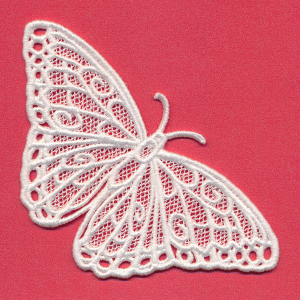 Chrysalis - Blue Morpho (Lace) - Image 2