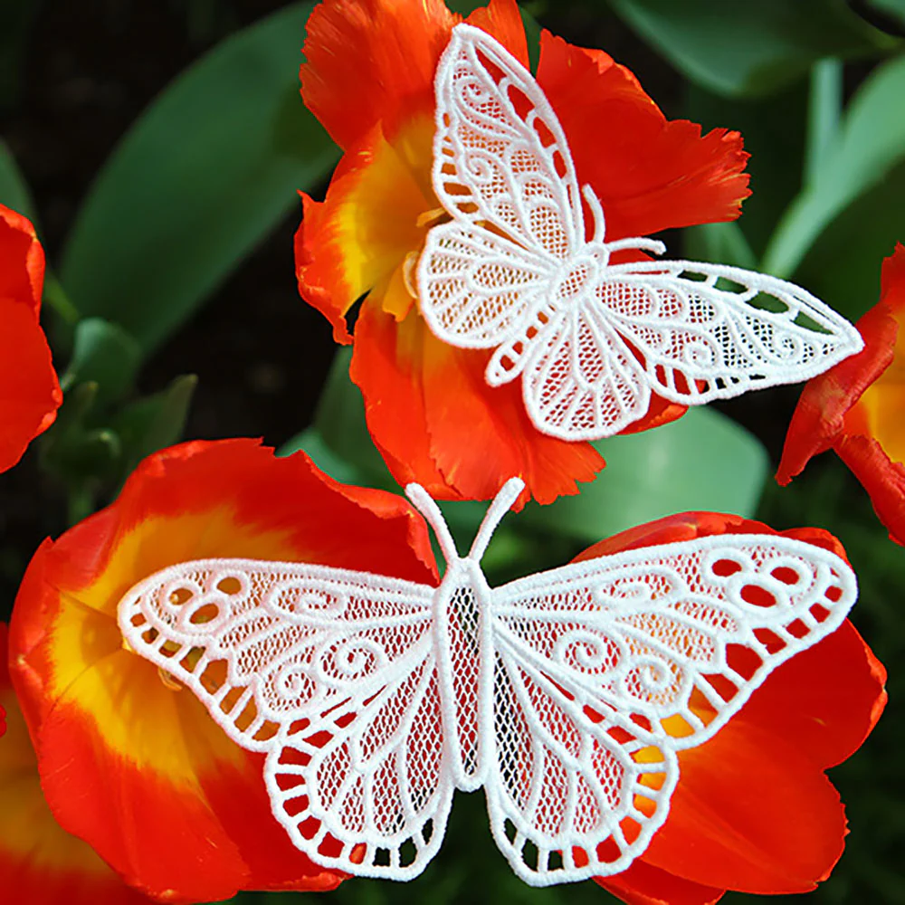 Chrysalis (Lace) (Design Pack) - Image 2