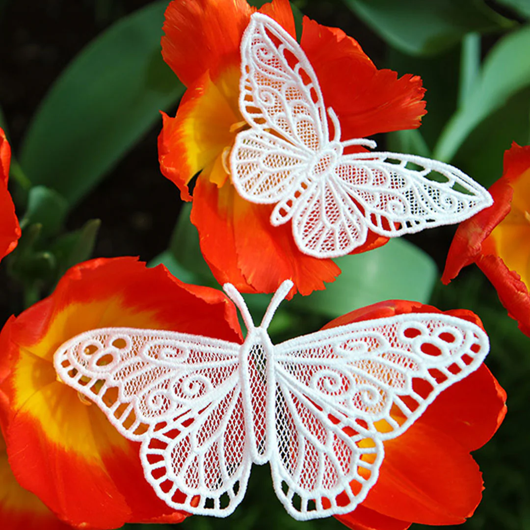 Chrysalis - Monarch (Lace) - Image 3