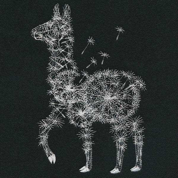 Dande-llama - Image 4
