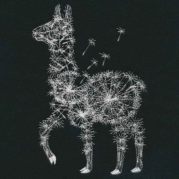 Dande-llama - Image 5