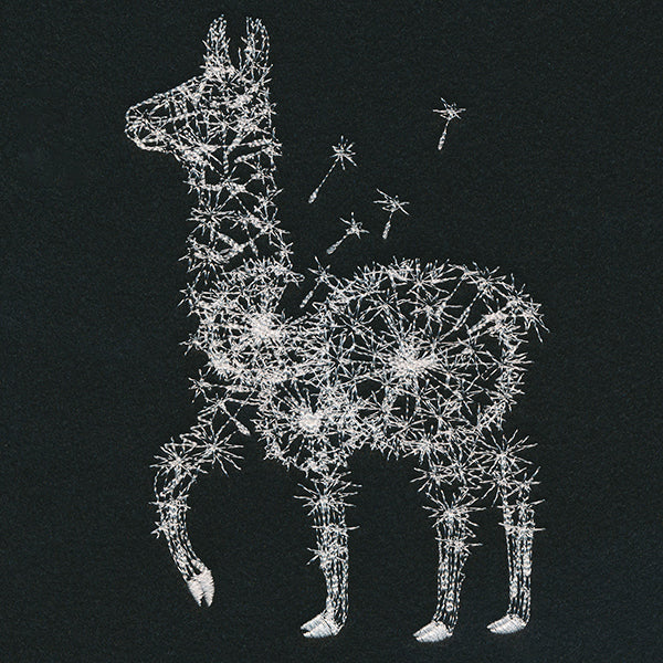 Dande-llama - Image 6