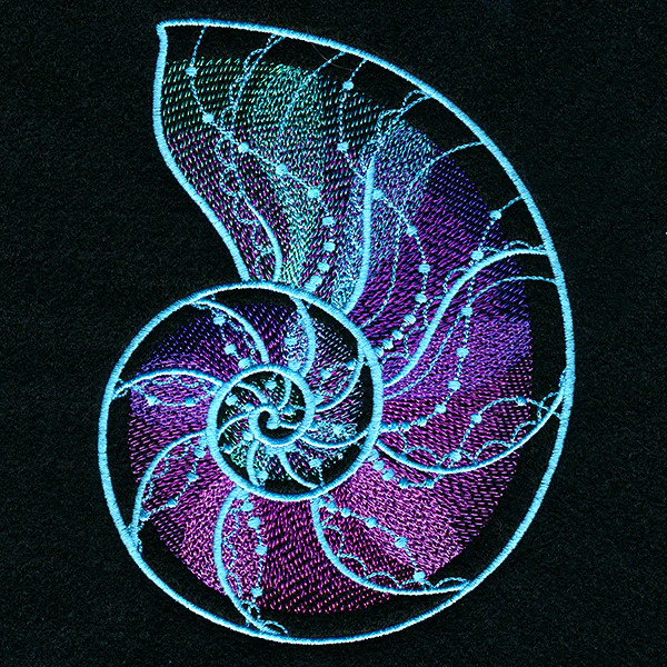 Deep Sea Mirage Nautilus Shell - Image 5