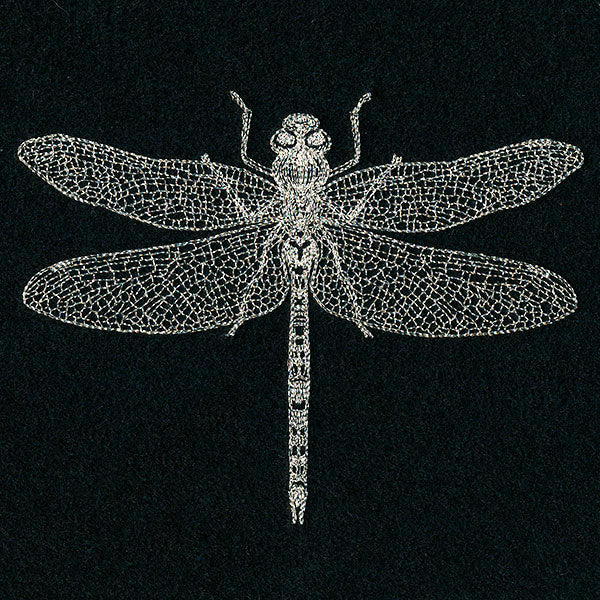 Delicate Dragonfly - Image 5