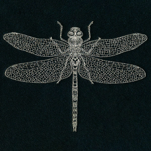 Delicate Dragonfly - Image 7