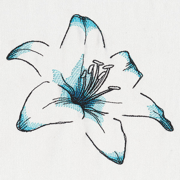 Delicate Petals - Image 3
